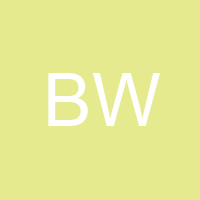Brain W