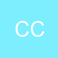 CARLOS COCAR